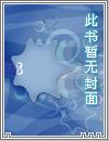 攻略系统by大白 book
